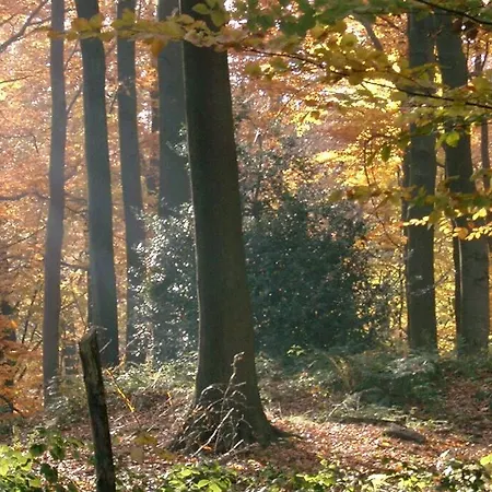 Holiday home La Clef De Bois
