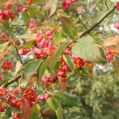 Hébergement de vacances La Clef De Bois Braine-le-Comte