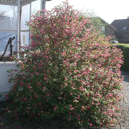 La Clef De Bois Braine-le-Comte