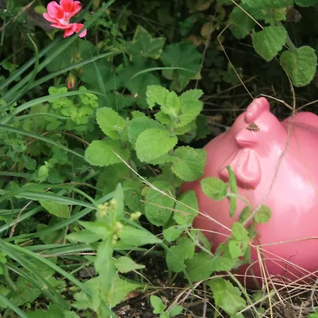 Hébergement de vacances La Clef De Bois