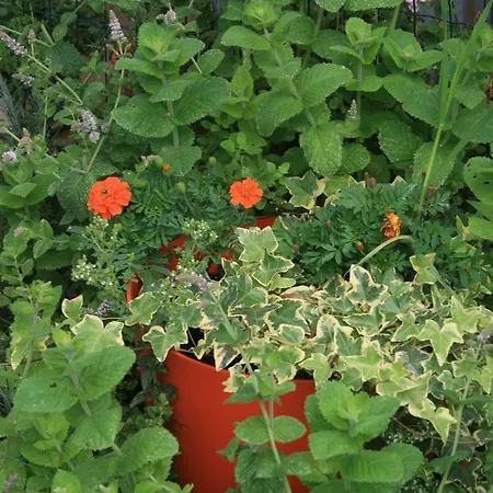 Hébergement de vacances La Clef De Bois *