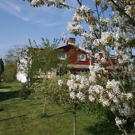 La Clef De Bois *