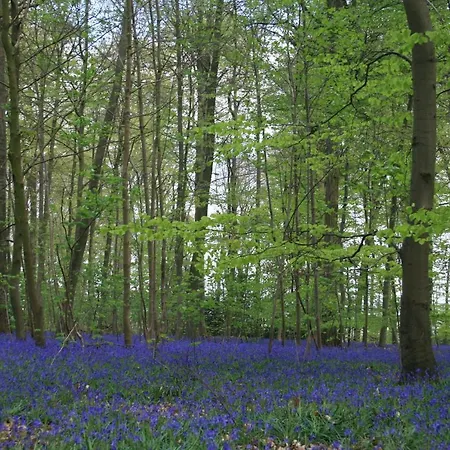 Hébergement de vacances La Clef De Bois